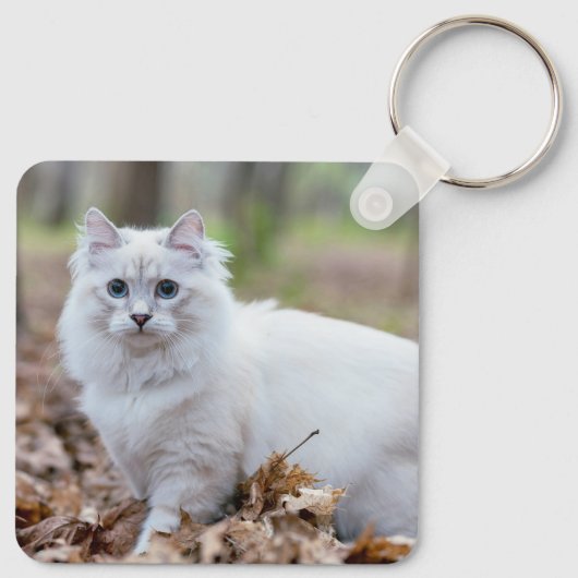 Aangepaste 2 Foto Dubbelzijdige Kattenfoto Sleutelhanger (Achterkant)