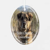 Aangepaste 2 Foto Naam Jaar Herdenking Huisdier Me Metalen Ornament (Voorkant links)