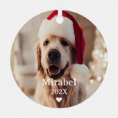 Aangepaste 2 huisdier foto & Monogram naam Metalen Ornament (Voorkant)