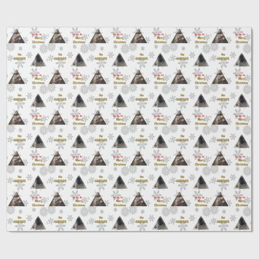 Aangepaste 2 Pet Foto Feestelijke Kerstmis Sneeuwv Cadeaupapier (Vlak)