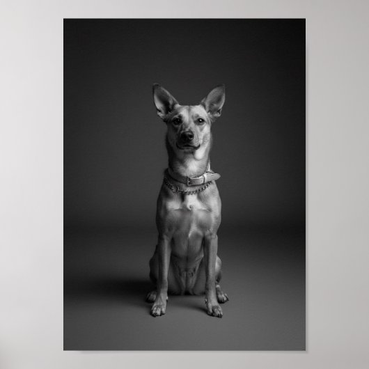 Aangepaste 4K zwart-wit huisdier portretposter Poster (Voorkant)
