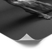 Aangepaste 4K zwart-wit huisdier portretposter Poster (Hoek)