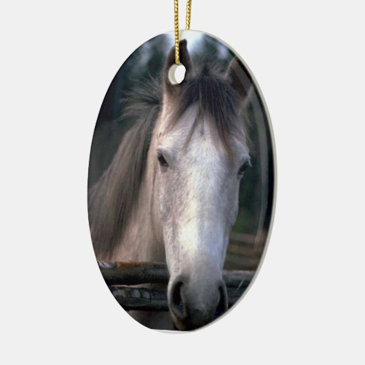 Aangepaste 4PetRescue Keramisch Ornament (Links)