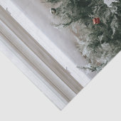 Aangepaste, aangepaste kerstfamilie foto tissuepapier (Detail)