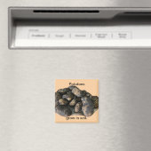 Aangepaste Aardappel Magneten, geoogst Magneet (Insitu (Vaatwasser))