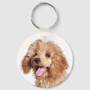 Aangepaste abrikozenkleurige poedel puppy hond lie sleutelhanger