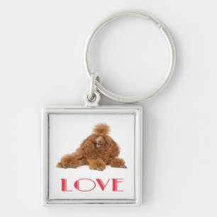 Aangepaste abrikozenkleurige Poodle Puppy Hond Lie Sleutelhanger
