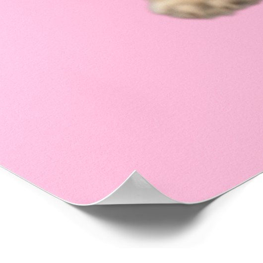 Aangepaste achtergrondkleur pugeren poster (Hoek)