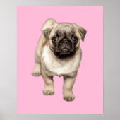 Aangepaste achtergrondkleur pugeren poster (Voorkant)