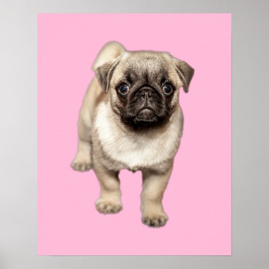 Aangepaste achtergrondkleur pugeren poster (Voorkant)
