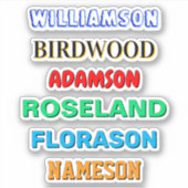 Aangepaste achternaam Stickers (Waterdichte Vinyl  (Voorkant)