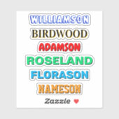 Aangepaste achternaam Stickers (Waterdichte Vinyl  (Vel)