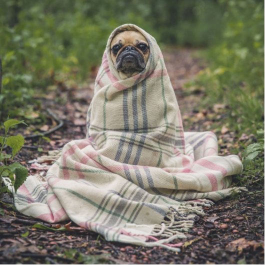 Aangepaste acrylsculptuur in keepomwille - aangepa staand fotobeeldje  (Voorkant)