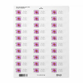 Aangepaste Adresetiketten voor roze Daisy Flower Etiket (Full Sheet)