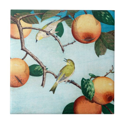 Aangepaste afdrukken van  kunst, fruit en vogels tegeltje (Voorkant)