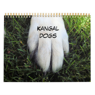 Aangepaste afgedrukte agenda kalender