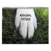 Aangepaste afgedrukte agenda kalender (Hoes)