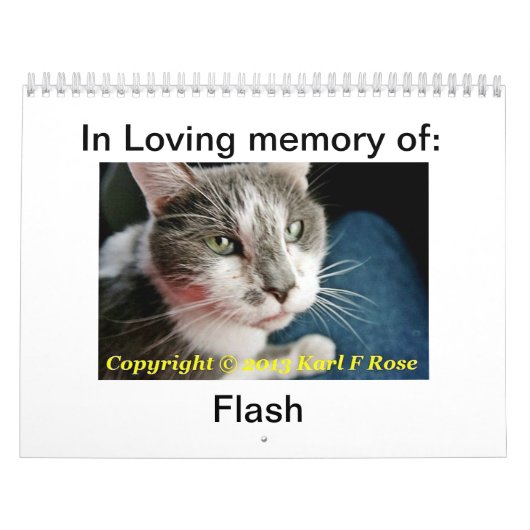 Aangepaste afgedrukte CAT-agenda Kalender (Hoes)