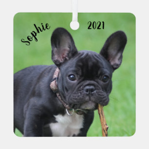 Aangepaste afspeelbare Franse bulldog Puppy  Metalen Ornament