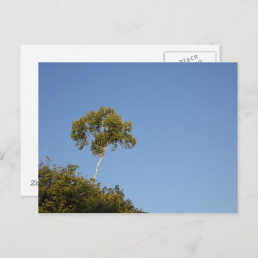 Aangepaste afstand uit de Briefkaarten voor de sni (Voorkant / Achterkant)