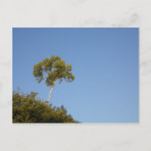 Aangepaste afstand uit de Briefkaarten voor de sni (Voorkant)