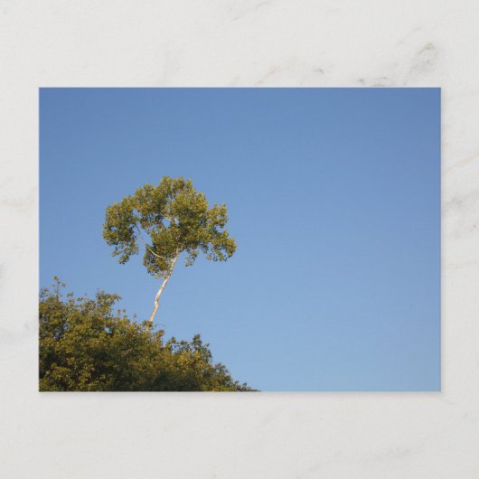 Aangepaste afstand uit de Briefkaarten voor de sni (Voorkant)