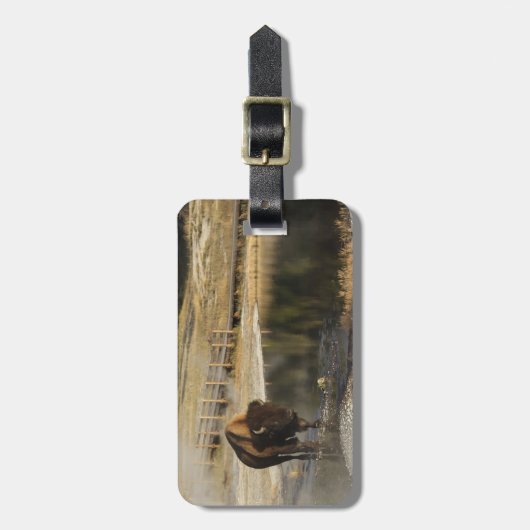 Aangepaste Amerikaanse Bison Yellowstone Wildlife Bagagelabel (Voorkant verticaal)