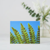 Aangepaste ansichtkaarten Blue Sky Green Forest Fe Briefkaart (Staand voorkant)