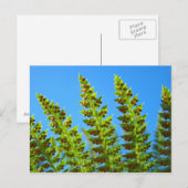 Aangepaste ansichtkaarten Blue Sky Green Forest Fe Briefkaart (Voorkant / Achterkant)