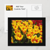Aangepaste ansichtkaarten Gele Rode Tulpen Bloemen Briefkaart (Voorkant / Achterkant)