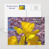 Aangepaste ansichtkaarten Narcissen Bloemen Bloese Briefkaart (Voorkant / Achterkant)