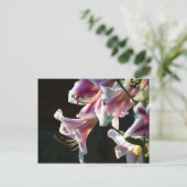 Aangepaste ansichtkaarten Roze Witte Lelie Bloemen Briefkaart (Staand voorkant)