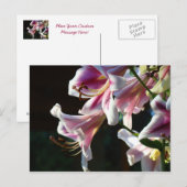 Aangepaste ansichtkaarten Roze Witte Lelie Bloemen Briefkaart (Voorkant / Achterkant)