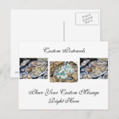 Aangepaste ansichtkaarten Schelpen Agate Rotsen Zo Briefkaart (Voorkant / Achterkant)