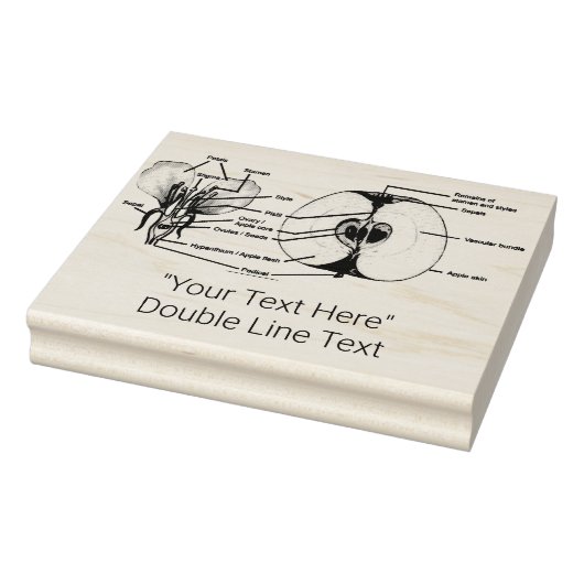 Aangepaste Apple Anatomy Rubber Stamp Rubberstempel (Stempel)
