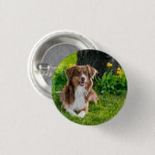 Aangepaste Australische herder hond huisdier foto Ronde Button 3,2 Cm (Voorkant /achterkant)