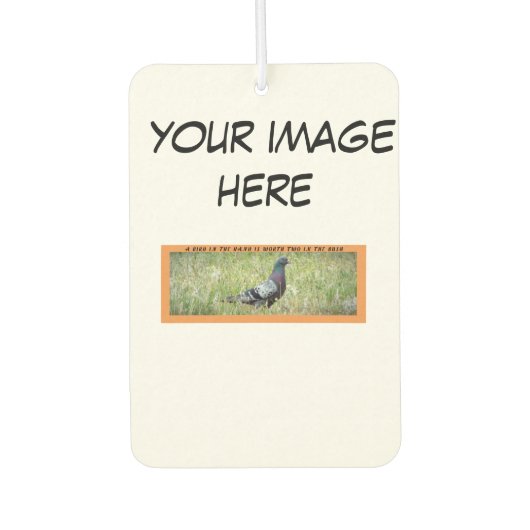 aangepaste auto luchtverfrisser (Voorkant)