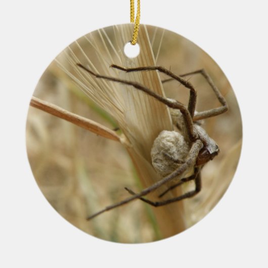 Aangepaste baardag voor spin en eieren keramisch ornament (Voorkant)