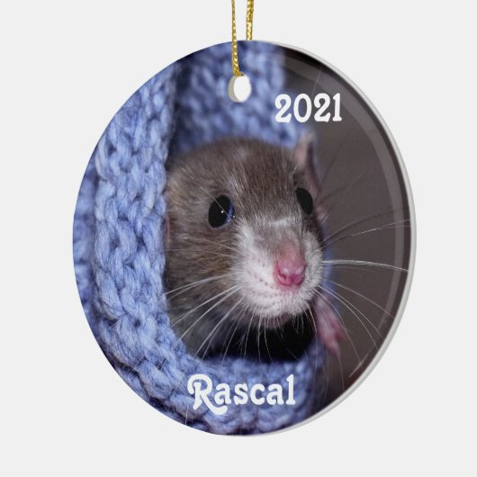 Aangepaste Baby Pet Rat Keramisch Ornament (Links)