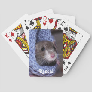 Aangepaste Baby Pet Rat Pokerkaarten