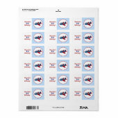 Aangepaste baketiketten of Stickers voor vliegtuig (Full Sheet)