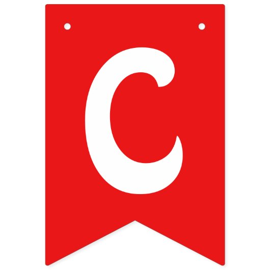 Aangepaste banner voor kleurrijke partij (Eerste vlag)