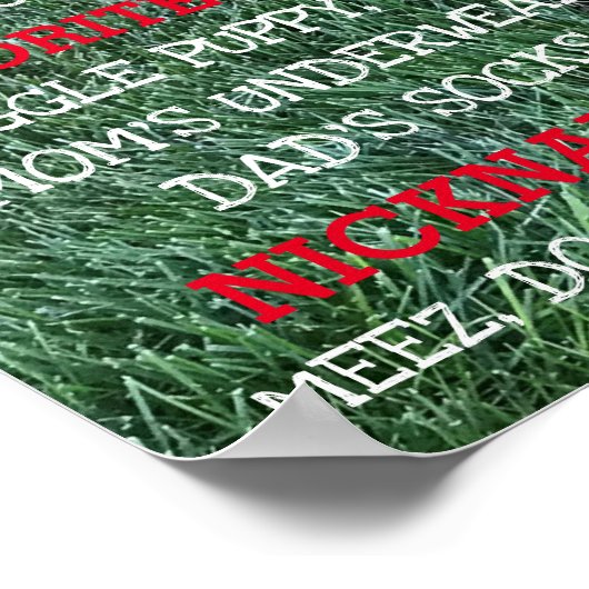 Aangepaste BARKday Dog Birthday Party Milestone Poster (Hoek)