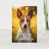 Aangepaste Basenji Verjaardag Kaart (Voorkant)