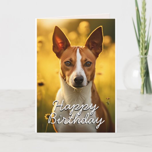 Aangepaste Basenji Verjaardag Kaart (Voorkant)