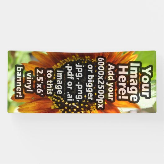 Aangepaste bedrukte Vinyl Full-Colour Printing 6'  Spandoek (Horizontaal)