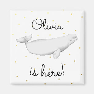 Aangepaste Beluga Whale New Baby Shower Magneet