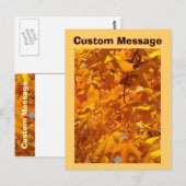 Aangepaste Bericht Ansichtkaarten Oranje Herfstbla Briefkaart (Voorkant / Achterkant)
