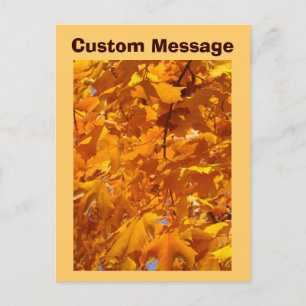 Aangepaste Bericht Ansichtkaarten Oranje Herfstbla Briefkaart