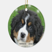Aangepaste Berner Mountain Dog Foto Keramisch Ornament (Links)